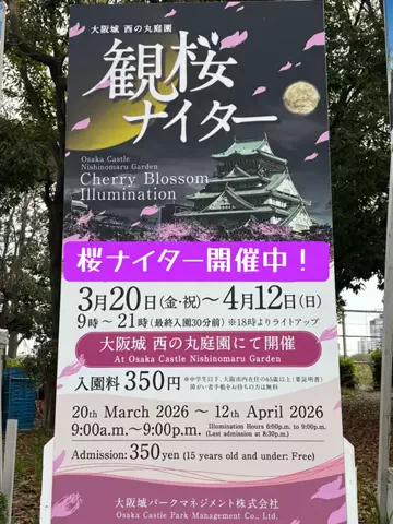 EXPOくまさんのTikTok投稿