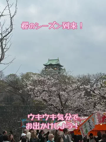 EXPOくまさんのTikTok投稿