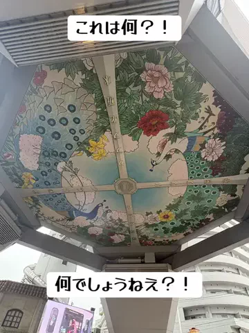 EXPOくまさんのTikTok投稿