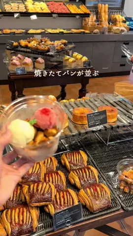 ぱくぱくダイアリーのTikTok投稿