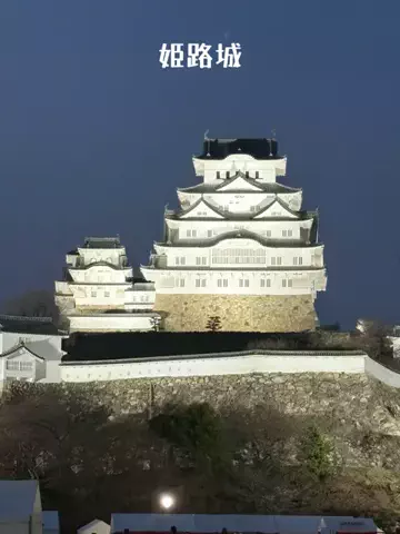 EXPOくまさんのTikTok投稿