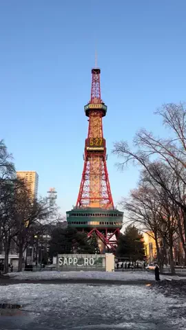 EXPOくまさんのTikTok投稿