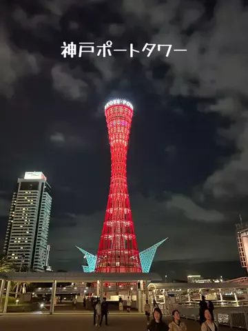 EXPOくまさんのTikTok投稿