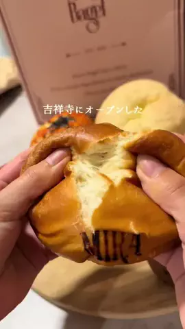 ぱくぱくダイアリーのTikTok投稿
