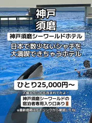 🌺なみひらりさ✈️🗺️｜絶景ホテル×コスパ旅のTikTok投稿
