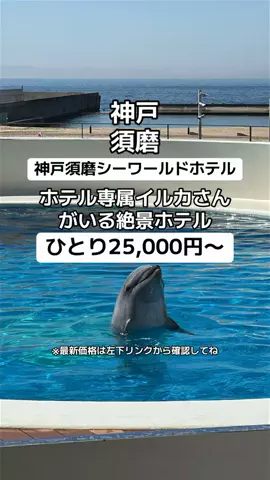 🌺なみひらりさ✈️🗺️｜絶景ホテル×コスパ旅のTikTok投稿