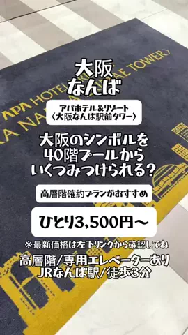 🌺なみひらりさ✈️🗺️｜絶景ホテル×コスパ旅のTikTok投稿