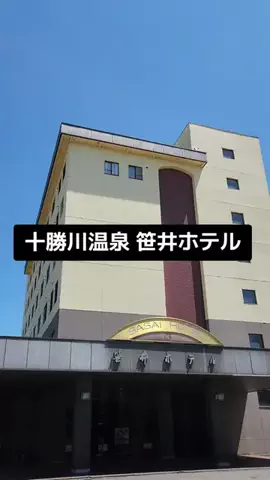 ホーリーゆうのTikTok投稿