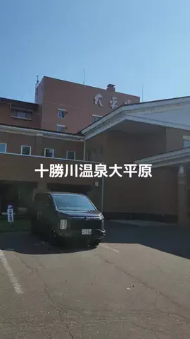 ホーリーゆうのTikTok投稿