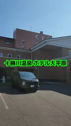 ホーリーゆうのTikTok投稿