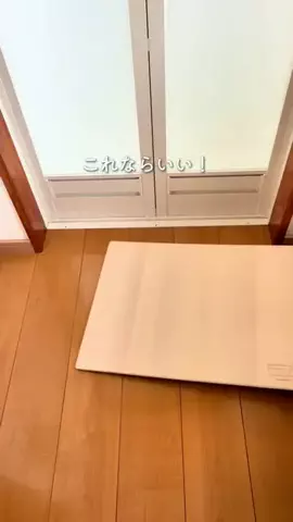 はる | 築48年の実家暮らしのTikTok投稿