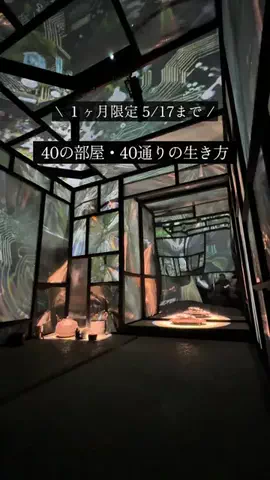ナオミ | アート・建築巡りのTikTok投稿