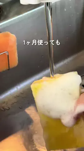 はる | 築48年の実家暮らしのTikTok投稿