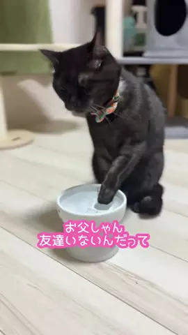 きんむぎのTikTok投稿