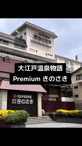 ホーリーゆうのTikTok投稿