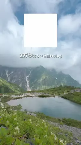 ゆず⌇東京･首都圏おでかけ&ぷち旅のTikTok投稿