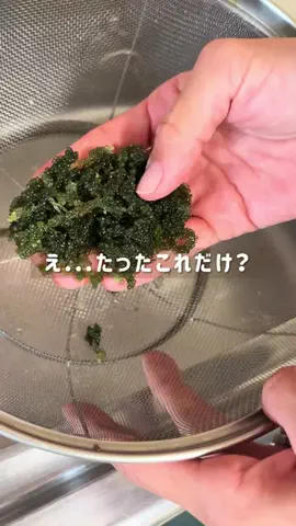 kipara_craftのTikTok投稿