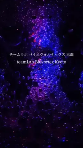 初音美優華（みゆか）のTikTok投稿