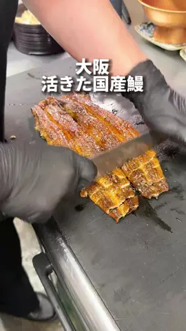 大阪グルメのTikTok投稿