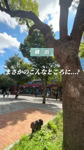 かな子|横浜特化型×グルメカフェのTikTok投稿