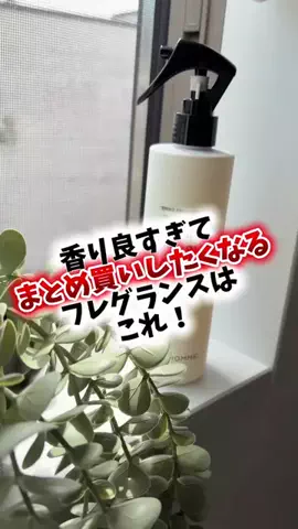dailyroomのTikTok投稿