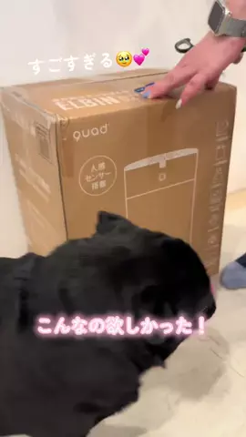 あんころとみたらし🐻🍡のTikTok投稿