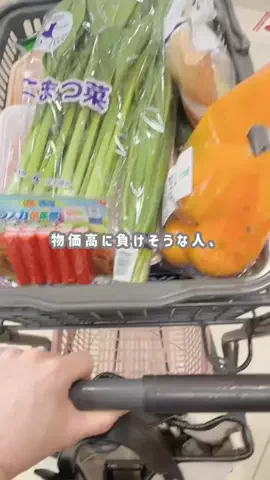 めぐさや｜低収入×家計管理のTikTok投稿