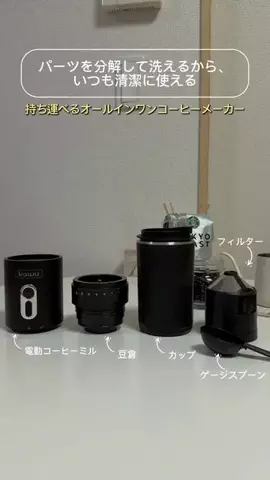 JapanescaのTikTok投稿