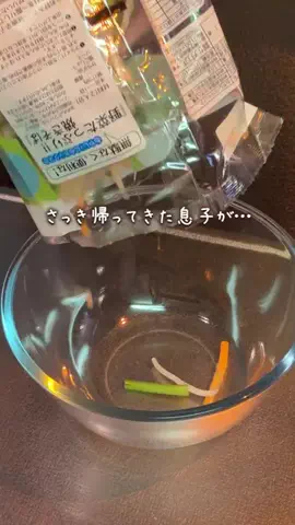 ある|10分ごはんな暮らしのTikTok投稿