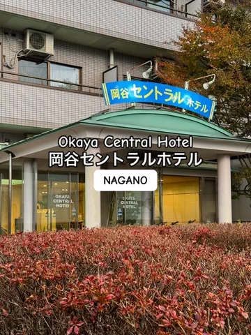 JapanescaのTikTok投稿