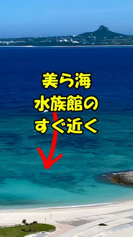 おっきー 🍍沖縄人のTikTok投稿