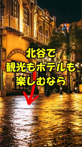 おっきー 🍍沖縄人のTikTok投稿