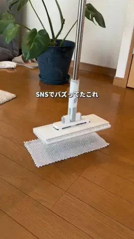 にーやのTikTok投稿