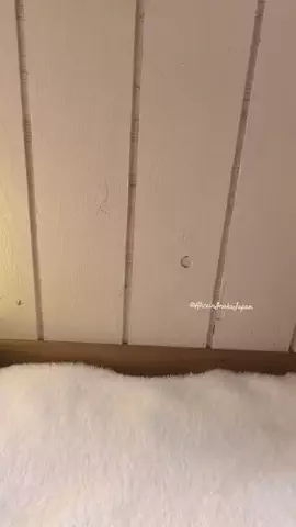 Alice in Inaka Japan🌻🐓🌿のTikTok投稿
