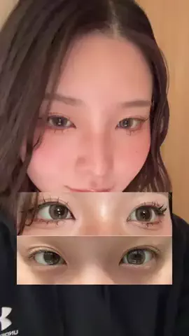 鴨のTikTok投稿