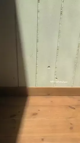 Alice in Inaka Japan🌻🐓🌿のTikTok投稿