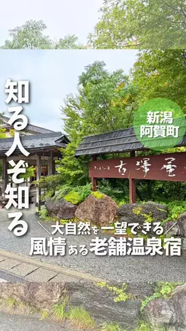 もぐもぐ新潟のTikTok投稿
