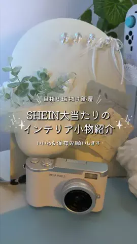きゅーちゃんのTikTok投稿