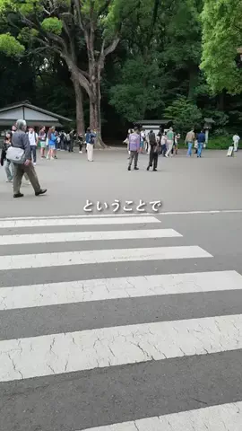 異世界日本 / 秘境を巡る人のTikTok投稿