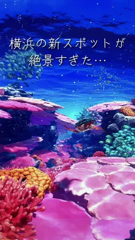 TREND TV｜最新トレンドならここ！のTikTok投稿