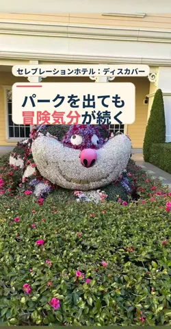 おじさんのTikTok投稿