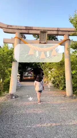 ていくら143🌱のTikTok投稿