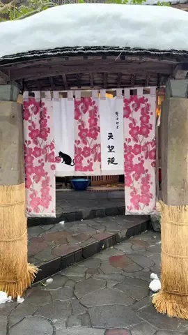 アラサーひとり旅✈️のTikTok投稿