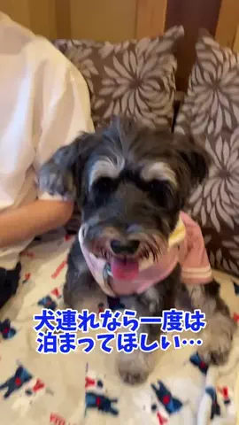 おでかけワク旅🎈のTikTok投稿