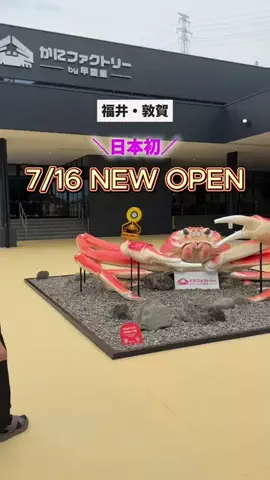 ぎふのことのTikTok投稿