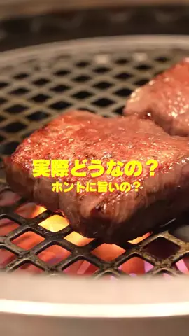 東京メシボーイ｜Tokyo meshiboyのTikTok投稿