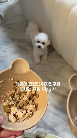 sh.nnnkiのTikTok投稿