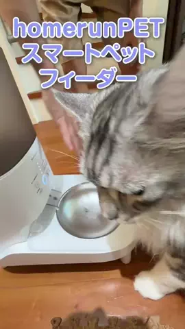 生き物大好き少年のTikTok投稿