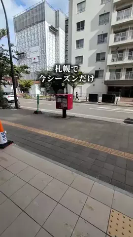 いち⌇ 札幌カフェ・札幌グルメのTikTok投稿