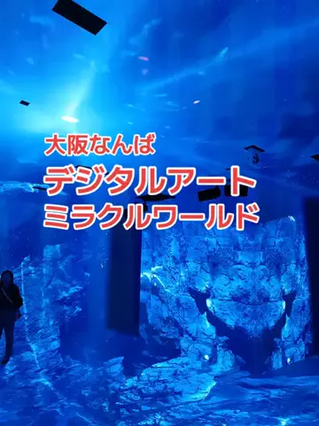 野良猫　イチくんとナナちゃんのTikTok投稿